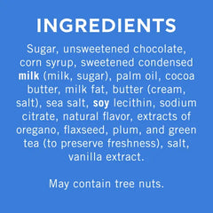 Dark Chocolate Sea Salt Caramel SQUARES Case Pack (430 ct)