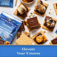 Dark Chocolate Sea Salt Caramel SQUARES Case Pack (430 ct)